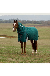 2025 Weatherbeeta Comfitec Plus Dynamic Turnout Detach-A-Neck 1029004 - Forest Green